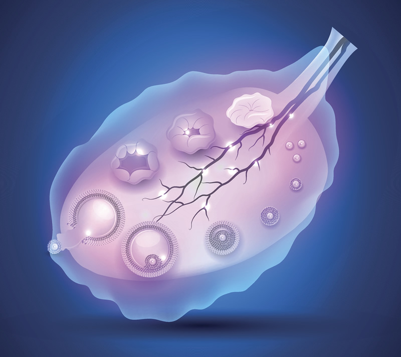 武汉试管医院排名前三强出炉：华中科技大学同济医院生殖中心领衔，附正规卵子库与深度解析